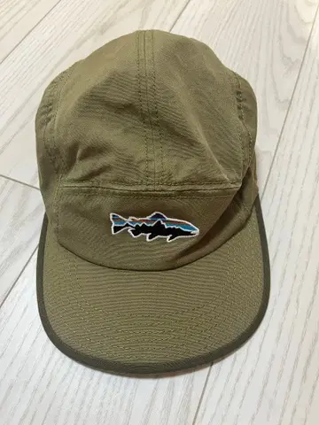 파타고니아 남성용 캡