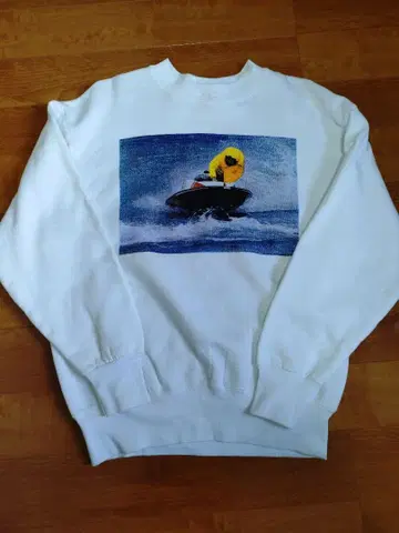 80~90s FRUIT OF THE LOOM USA제 M 사이즈 맨투맨