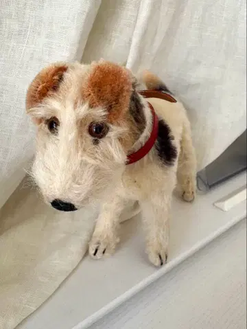 [ Steiff ] 슈타이프 폭스테리어 폭시?