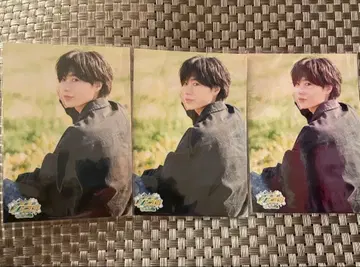 후카마치 토시나리 V 장미 브로마이드