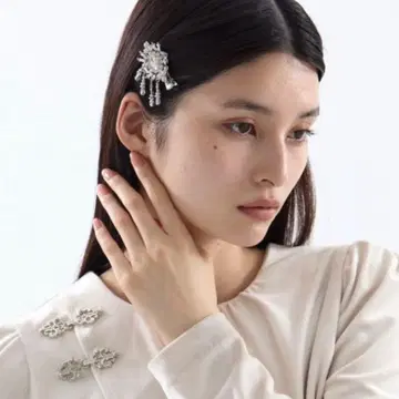 크리스탈 헤어 클립 라이트 타나카 다이스케