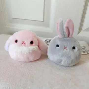 [ 새상품 ] 라비당고 2개 허벅지 핥기