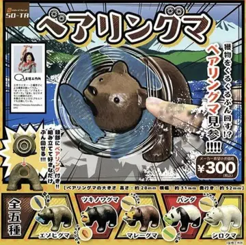 가챠 베어링마 풀컴프