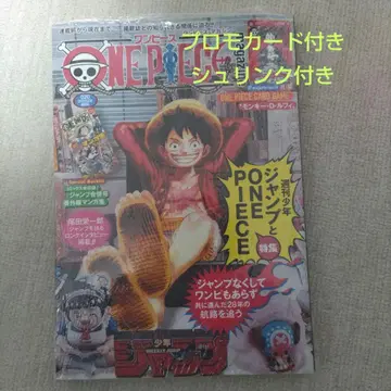 ONE PIECE magazine 원피스 매거진 20호
