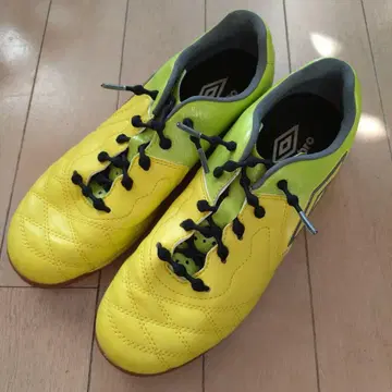 umbro 23cm 실내 트레이닝 슈즈 끈 포함!
