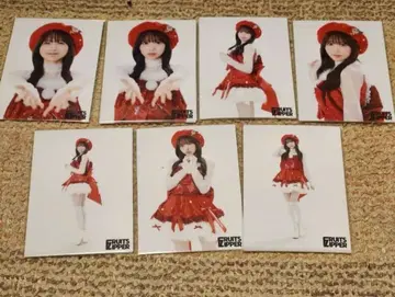 사쿠라이 유이 생사진