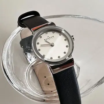 SKAGEN(스카겐) 손목시계