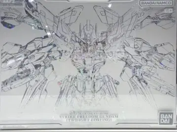 MGEX 스트라이크 프리덤 건담 트와일라이트 코팅 ver.