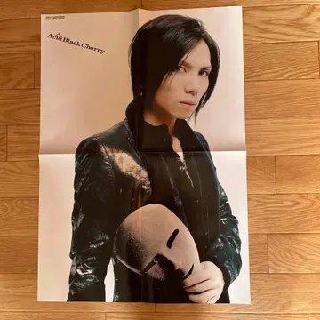 Acid Black Cherry 포스터 잡지 부록