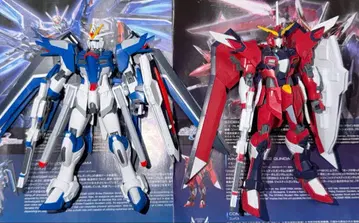 HG 라이징 프리덤 & 이모탈 저스티스 완성품 정크