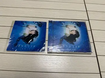 아이올라이트 후지시로 리에