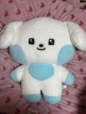 ZB1 LINEFRIENDS 제로니 플랫 봉제 인형 규니니 규빈