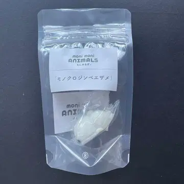 모니마루즈 흑백 징베상어