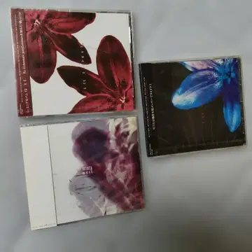 WAIL 미개봉 CD 3장 세트