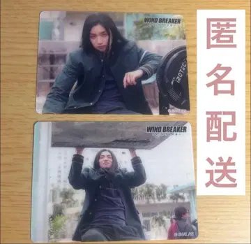 윈드브레이커 카드 묶음 판매