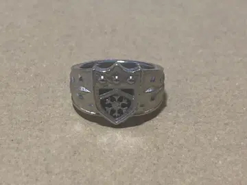 가정교사 히트맨 REBORN! 눈의 봉고레 반지 봉고레 반지 반지 눈