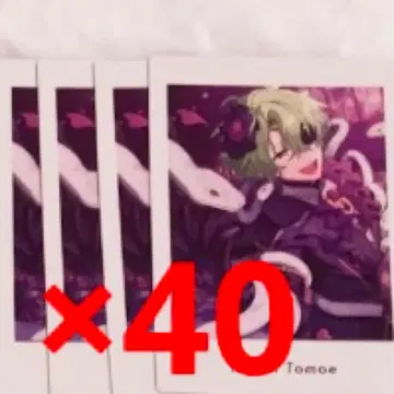 앙스타 파샤츠 히요리 40장