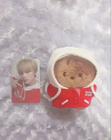 후드 부착 곰 봉제 인형과 포토 카드