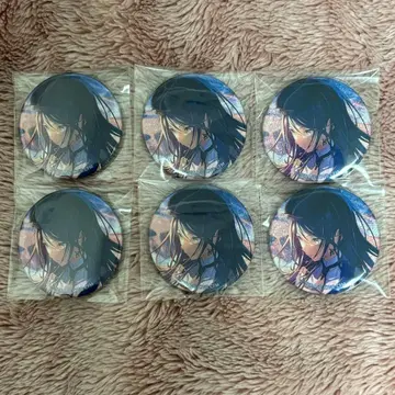 프로세카 그리 40C 호시노 이치카 레굴루스 6개