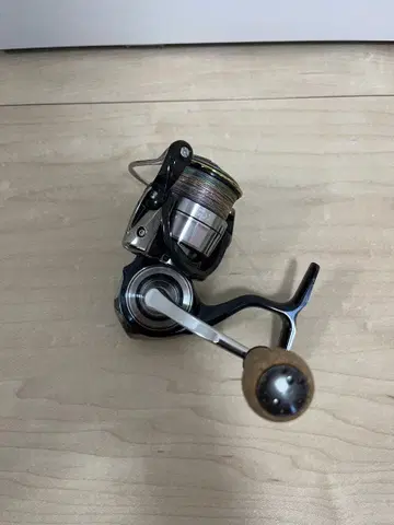 19 셀테이트 2500S