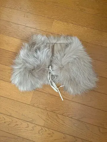 자유구, 폭스! 새상품!