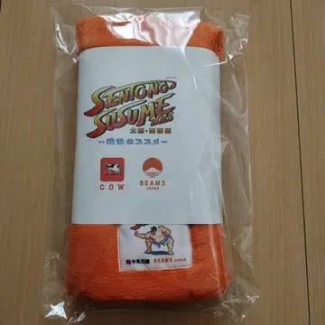 BEAMS JAPAN COW 극세사 타월