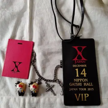 X JAPAN