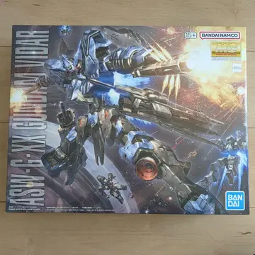 2체 세트 MG 건담 비다르 RG G3 건담