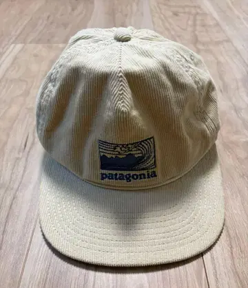 patagonia 코듀로이 캡