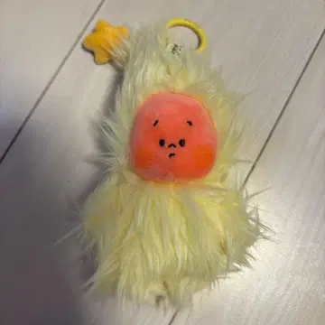 Twinkle Twinkle mess in wind 보사보사