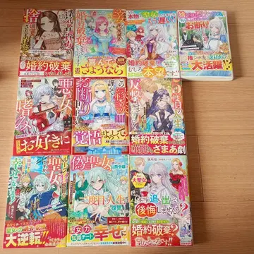 베리즈 판타지 10권 세트