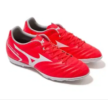 Mizuno 새상품급 미즈노 모나르시다 네오 트레이닝화 24.5cm