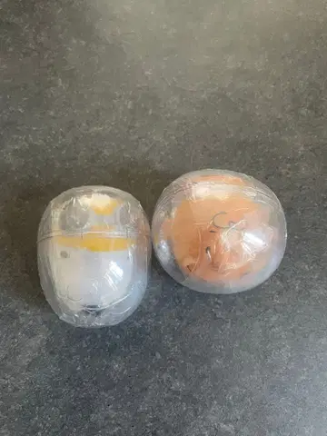 스누피 뮤지엄 한정판 아스트로노츠 찰리 브라운 & 스누피