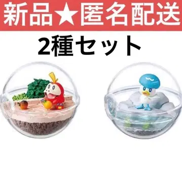 포켓몬 뜨아거 쿠와레스 테라리움 컬렉션