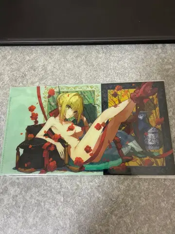 Fate 와다 아루코전 티켓 홀더 네로