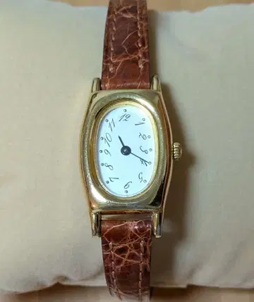 레이지 수잔 손목시계 골드 x 브라운