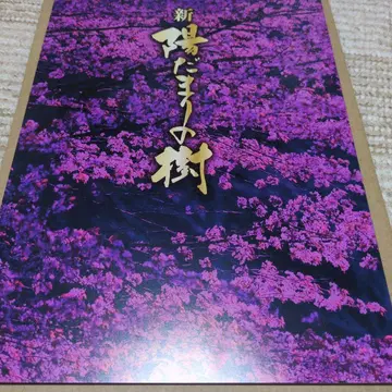 신 양지바른 나무 팜플렛