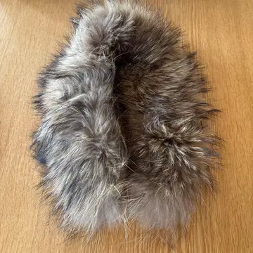 브라운의 너구리 숄