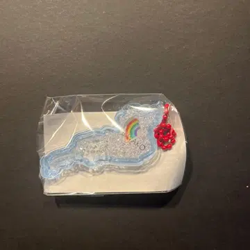 인기 컬러 비와코 아크릴 키링