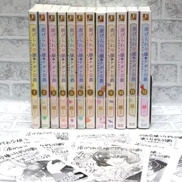 [학대받는 영애와 타락한 공작] 마와리 전 12권 페이퍼 포함