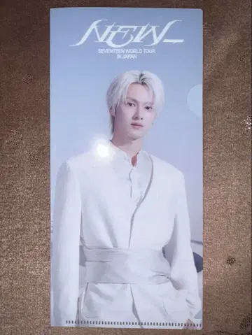 SEVENTEEN 준 - 티켓 홀더 NEW 라이브 뷰잉 특전