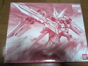 미개봉 미조립 건담 프라모델 1/100 MG 건담 아스트레이 레드 드래곤