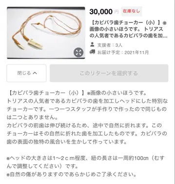 트리아스 교감 동물원 크라우드 펀딩 카피바라 이빨 초커(소)