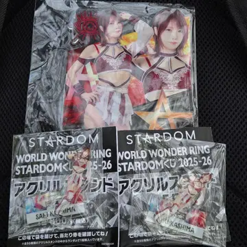 카시마 사키 BIG 빅 스타덤 아크릴 스탠드 아크스타 복권