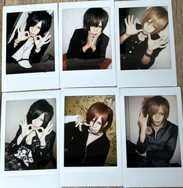 R 지정 마모 폴라로이드