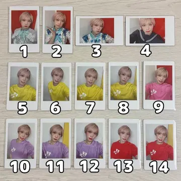 팬더 드래곤 타이거 성탄제 하피카