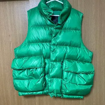 DAIWA PIER39 테크 백패커 다운 베스트