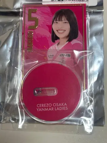 세레소 오사카 얀마 레이디스 아크릴 스탠드 아사야마 마이