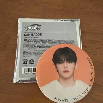 seventeen 에스크 캔뱃지 FOLLOW