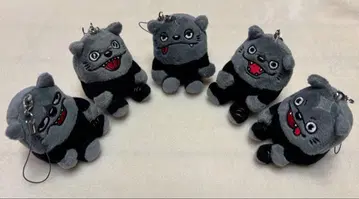 오테다만위즈 초회판 흑백 5체 세트 맨위즈 manwith